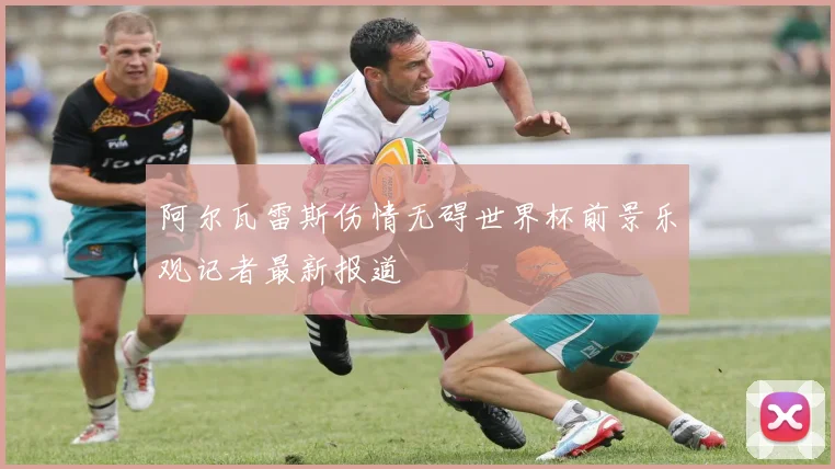 阿尔瓦雷斯伤情无碍世界杯前景乐观记者最新报道